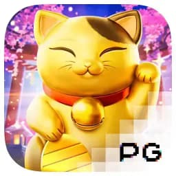 niigata117: Lucky Neko